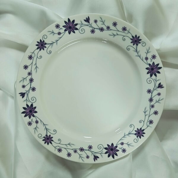 Dinner Set 72 Pcs (Design Code# 313)